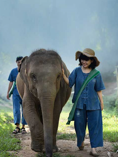 Elephant Lover Pass
